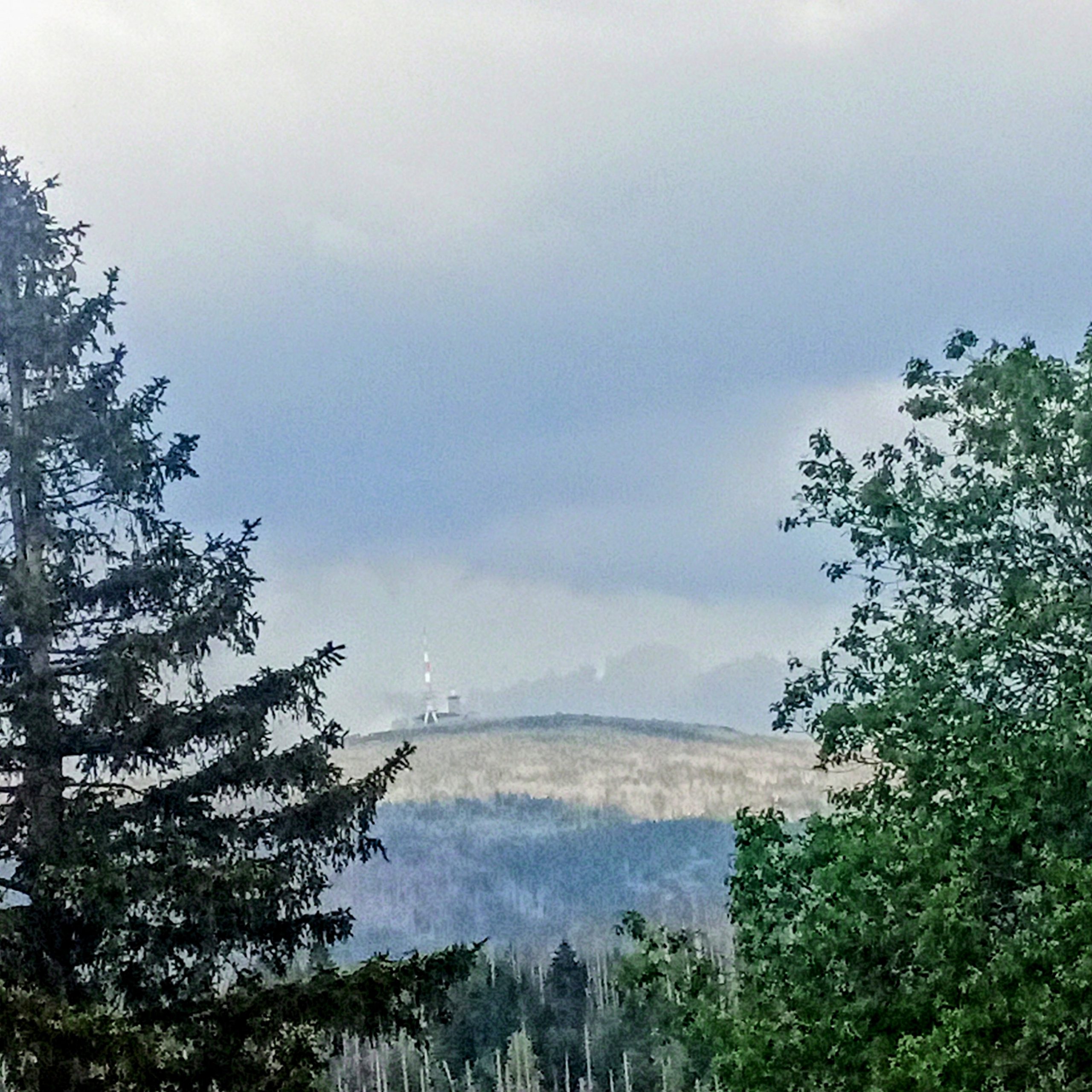 Blick von Torfhaus zum Brocken